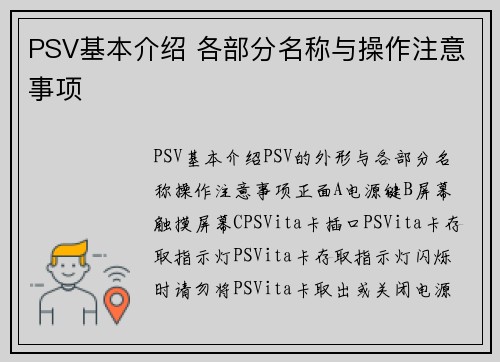 PSV基本介绍 各部分名称与操作注意事项